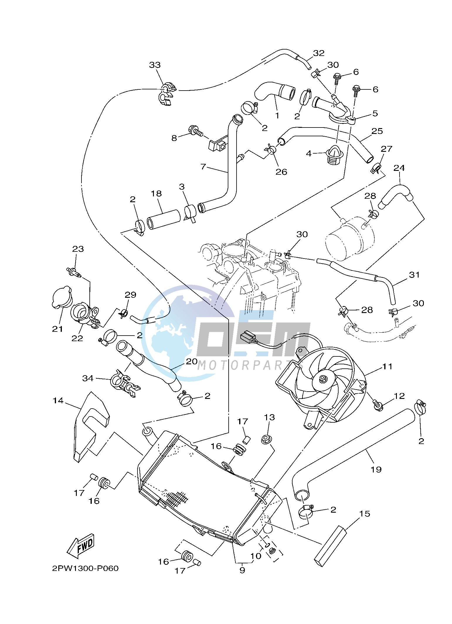 RADIATOR & HOSE