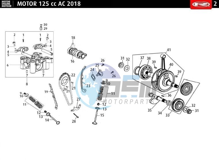 CAMSHAFT - CHAIN - CRANKSHAFT