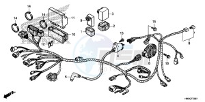 TRX250TEE FOURTRAX RECON ES Europe Direct - (ED) drawing WIRE HARNESS (TRX250TE)