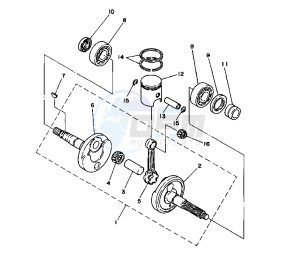 CT S 50 drawing CRANKSHAFT AND PISTON