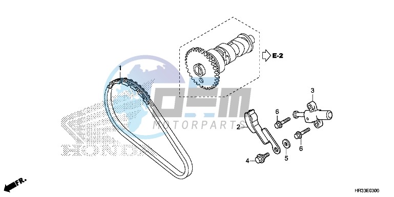 CAM CHAIN/TENSIONER