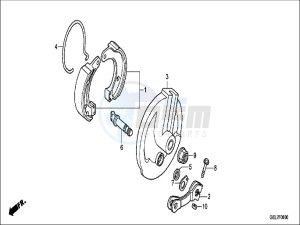 CRF50FH Europe Direct - (ED) drawing FRONT BRAKE PANEL