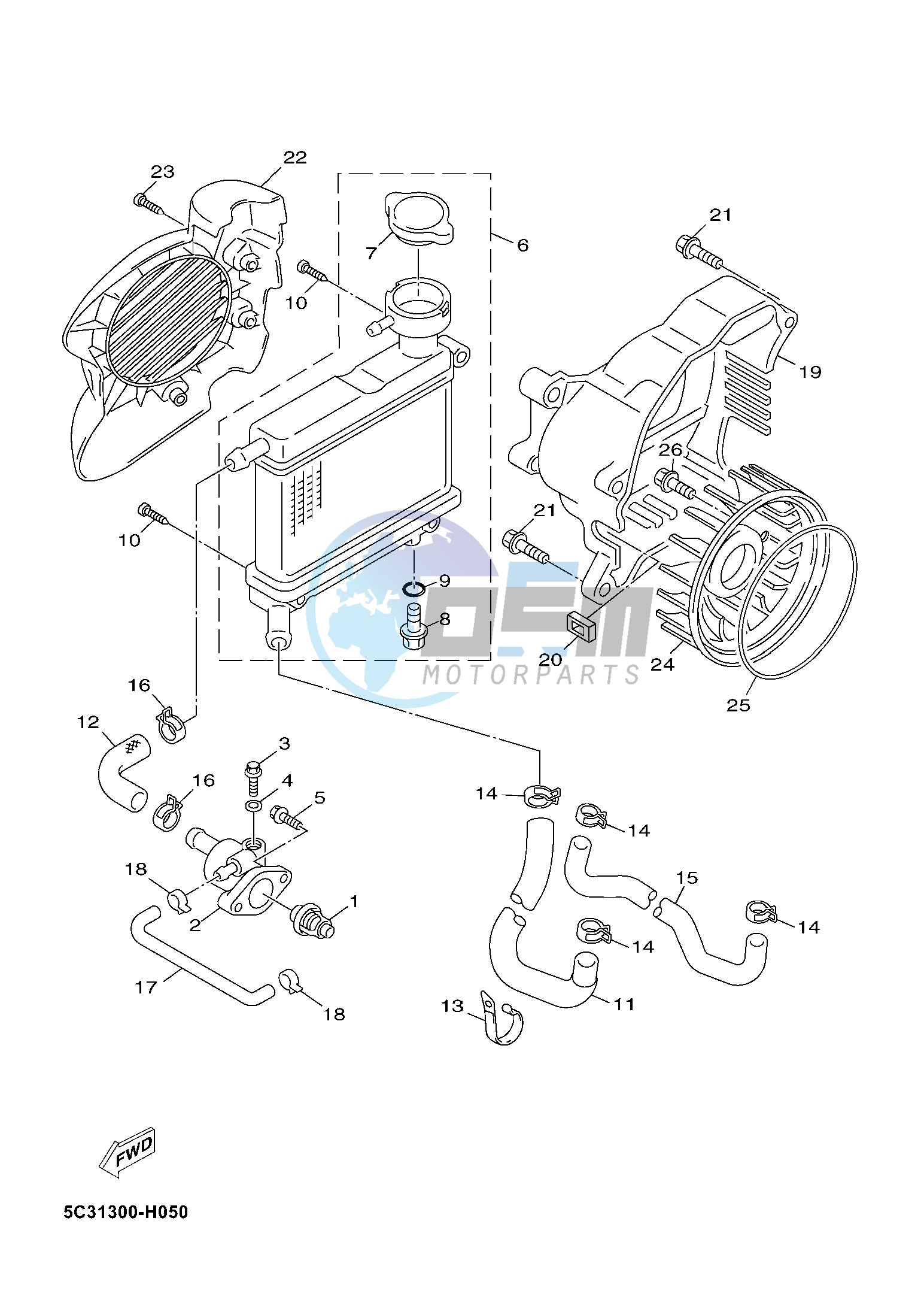 RADIATOR & HOSE