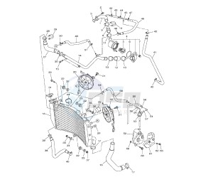 YZF R1 1000 drawing RADIATOR AND HOSE