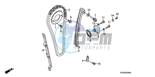 CAM CHAIN/TENSIONER