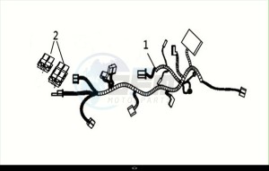 JOYRIDE S 125 (LF12W4-EU) (M1) drawing WIRE HARNESS