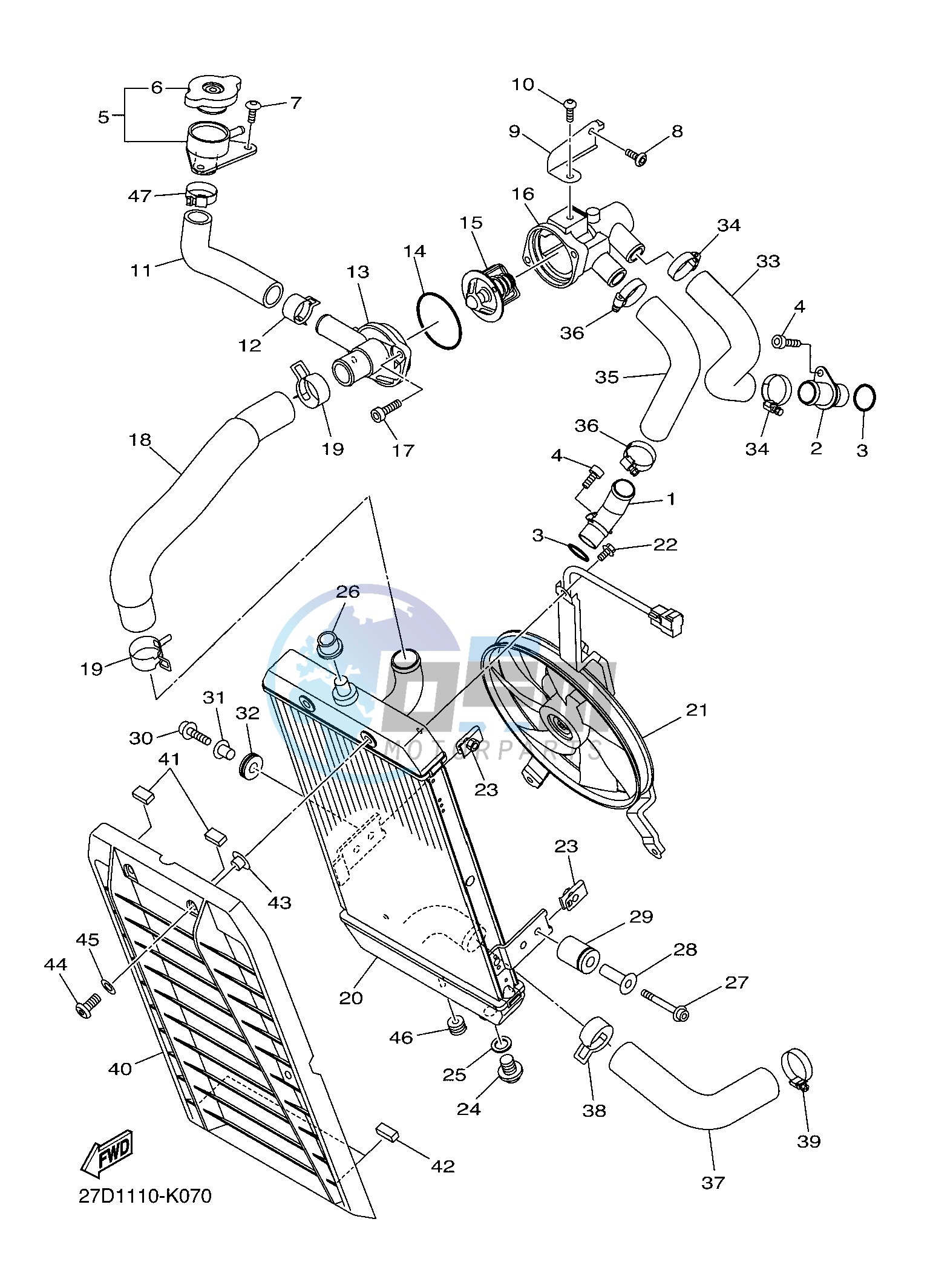 RADIATOR & HOSE