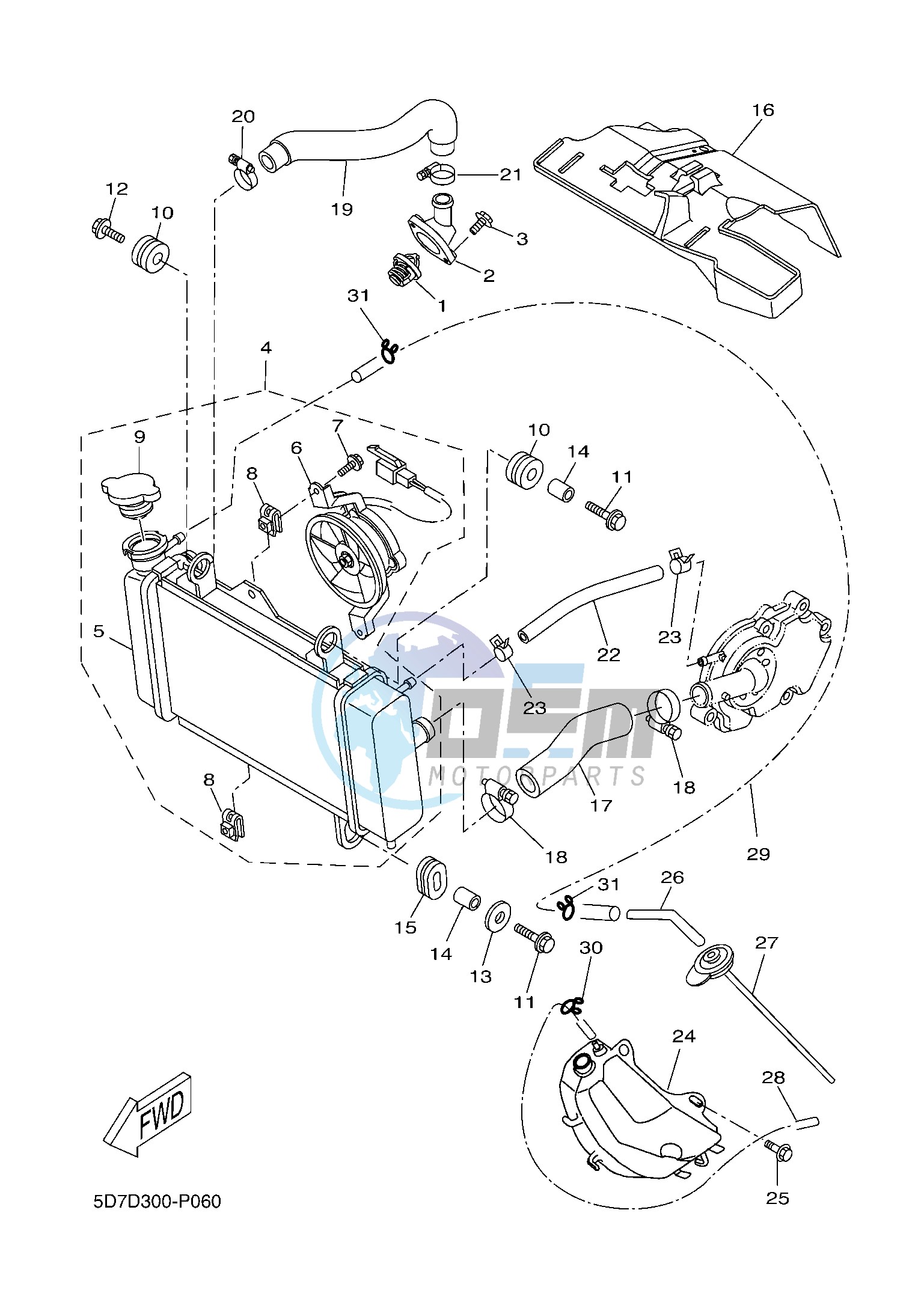 RADIATOR & HOSE