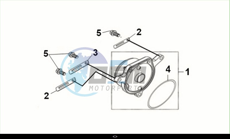 CYL. HEAD SIDE COVER