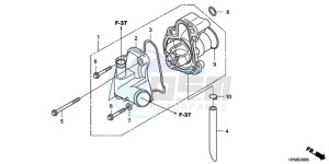 TRX700XX9 Australia - (U) drawing WATER PUMP