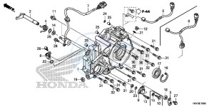 TRX500FE1F TRX500F Europe Direct - (ED) drawing REAR CRANKCASE COVER