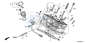 VFR1200XC drawing CYLINDER HEAD (REAR)