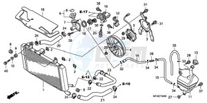 CBF1000A Europe Direct - (ED) drawing RADIATOR