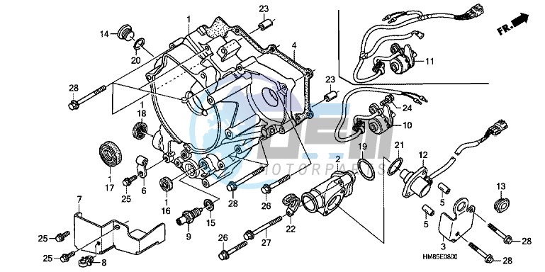 REAR CRANKCASE COVER