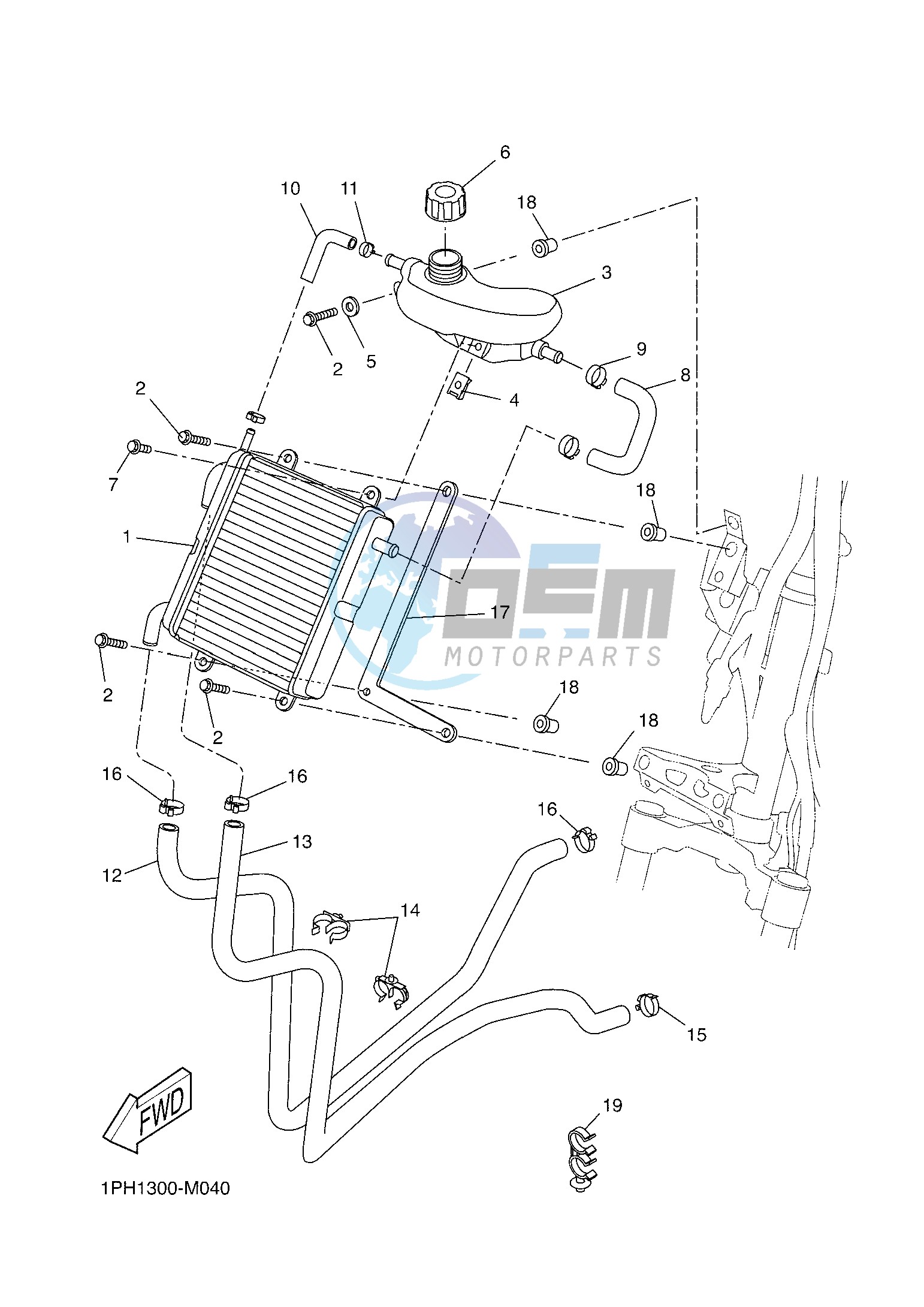 RADIATOR & HOSE