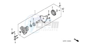 CBR125RW9 Germany - (G / WH) drawing OIL PUMP