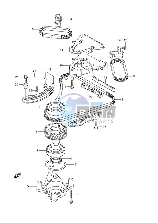 Timing Chain (DF 250S)