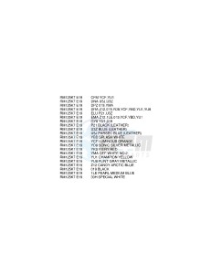 RM125 (E19) drawing * COLOR CHART *