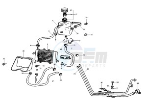 Zip 50 SP drawing Radiator Hose