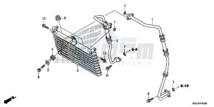 CB1100NAH UK - (E) drawing OIL COOLER