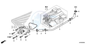 TRX500FE2E TRX500FE2 Europe Direct - (ED) drawing WATER PUMP COVER