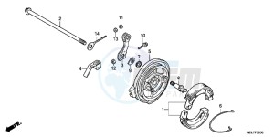 CRF50FC drawing REAR BRAKE PANEL