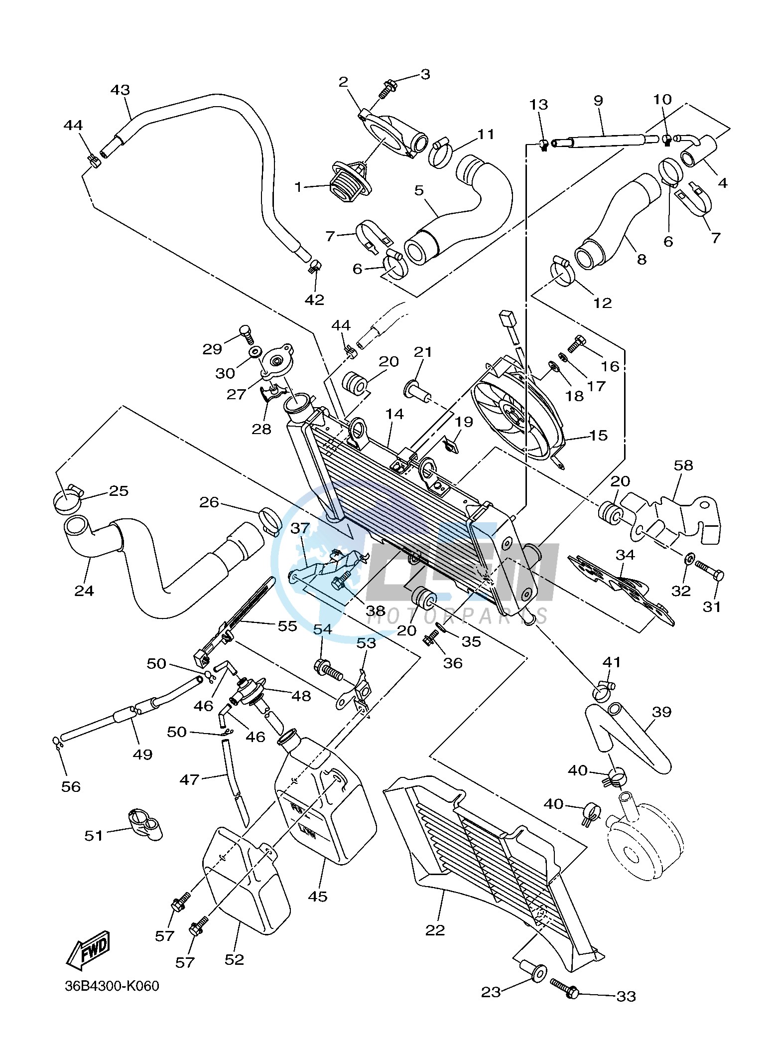 RADIATOR & HOSE