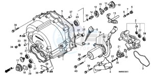 TRX250TEB drawing FRONT CRANKCASE COVER (TRX250TE)