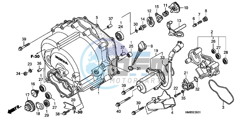 FRONT CRANKCASE COVER (TRX250TE)