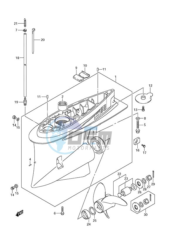 Gear Case (DF 250S)