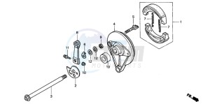 CLR125 CITY FLY drawing REAR BRAKE PANEL