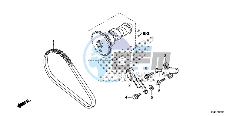 CAM CHAIN/TENSIONER