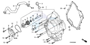 SH300A9 ED / ABS TBX drawing RIGHT CRANKCASE COVER/ WATER PUMP