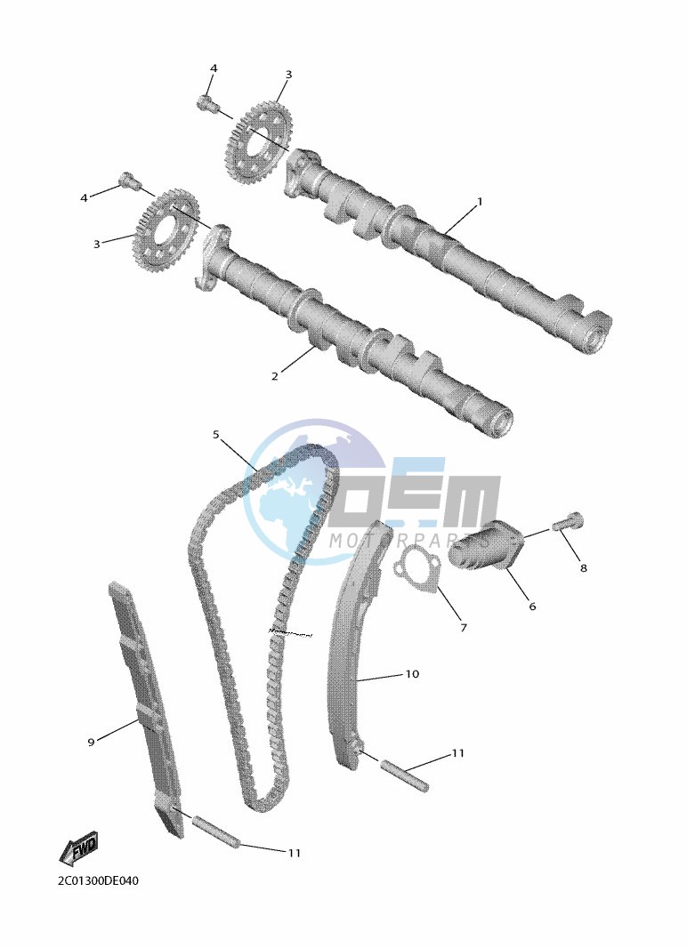 CAMSHAFT & CHAIN