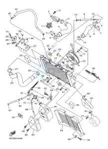 XJ6S 600 DIVERSION (S-TYPE) (36CF 36CH) drawing RADIATOR & HOSE