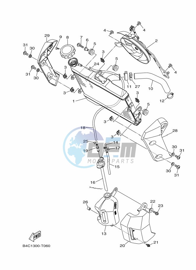 RADIATOR & HOSE