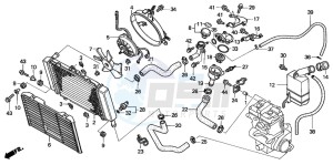 CBF500 drawing RADIATOR