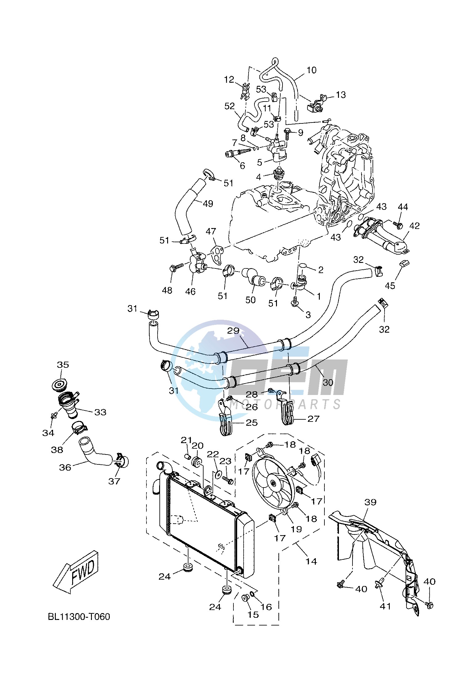 RADIATOR & HOSE