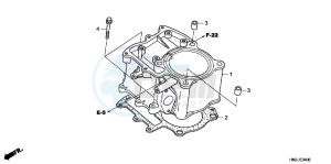 TRX500FPAD TRX500FPA ED drawing CYLINDER