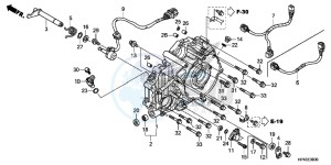 TRX420TMD TRX420 Europe Direct - (ED) drawing REAR CRANKCASE COVER