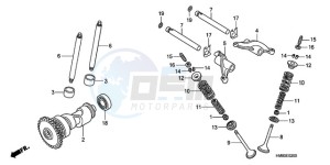 TRX250TEA Australia - (U / EC) drawing CAMSHAFT/VALVE