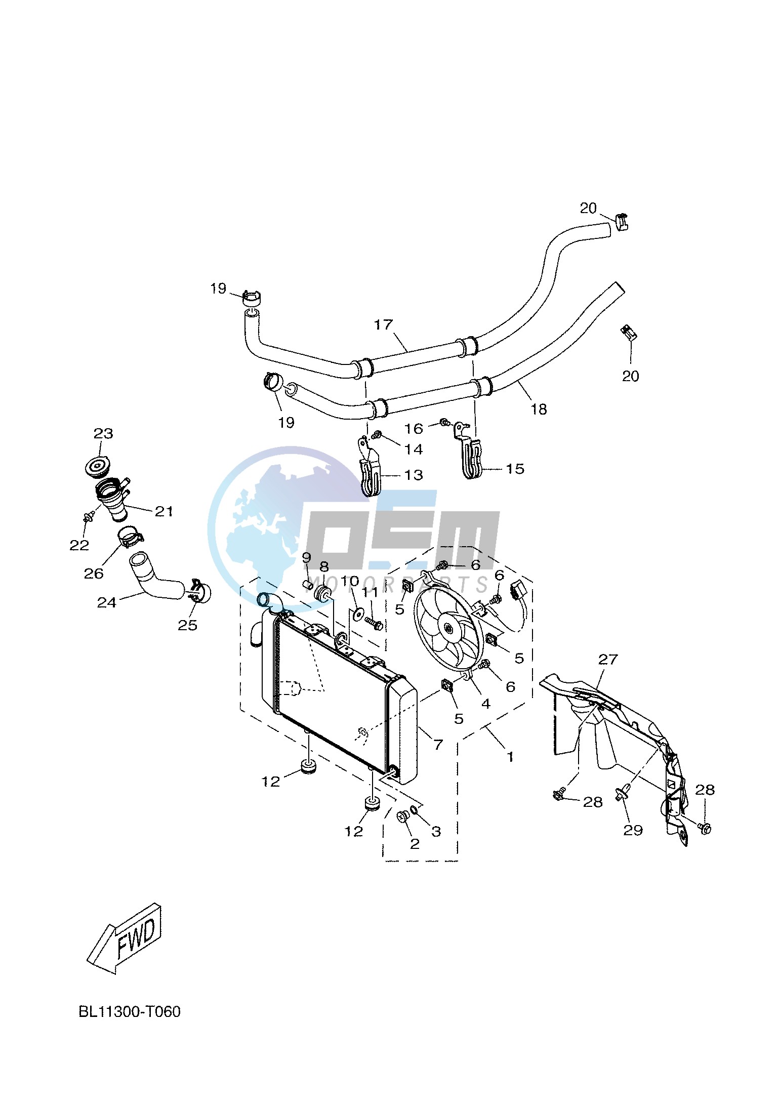 RADIATOR & HOSE