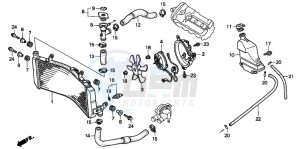 CBR600F drawing RADIATOR