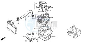 NSR50F drawing CYLINDER/CYLINDER HEAD