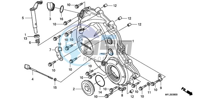 RIGHT CRANKCASE COVER