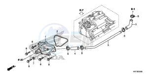 TRX420FA5F TRX420F Europe Direct - (ED) drawing WATER PUMP COVER