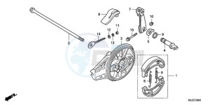 CRF100F9 Europe Direct - (ED / CMF) drawing REAR BRAKE PANEL