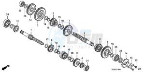 CRF80F9 Australia - (U) drawing TRANSMISSION (CRF80F)