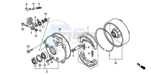 TRX250TE FOURTRAX ES drawing REAR BRAKE DRUM