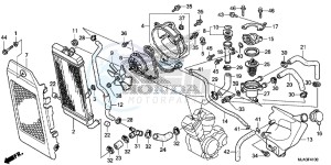 VT750C2SD UK - (E) drawing RADIATOR (VT750C/C2S/CA/CS)